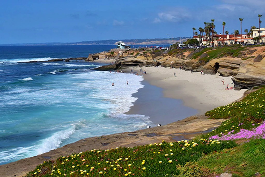 Coastal San Diego neighborhood above the beach